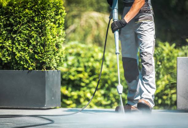 Animal Enclosure Cleaning in Burtonsville, MD