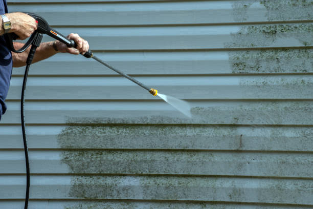 Best Patio and Deck Pressure Washing  in Burtonsville, MD